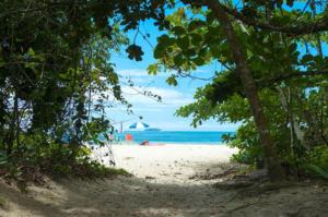 praia-felix-ubatuba
